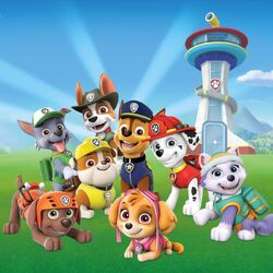 Tracker/Gallery, PAW Patrol Wiki