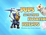 Pups Save Their Floating Friends