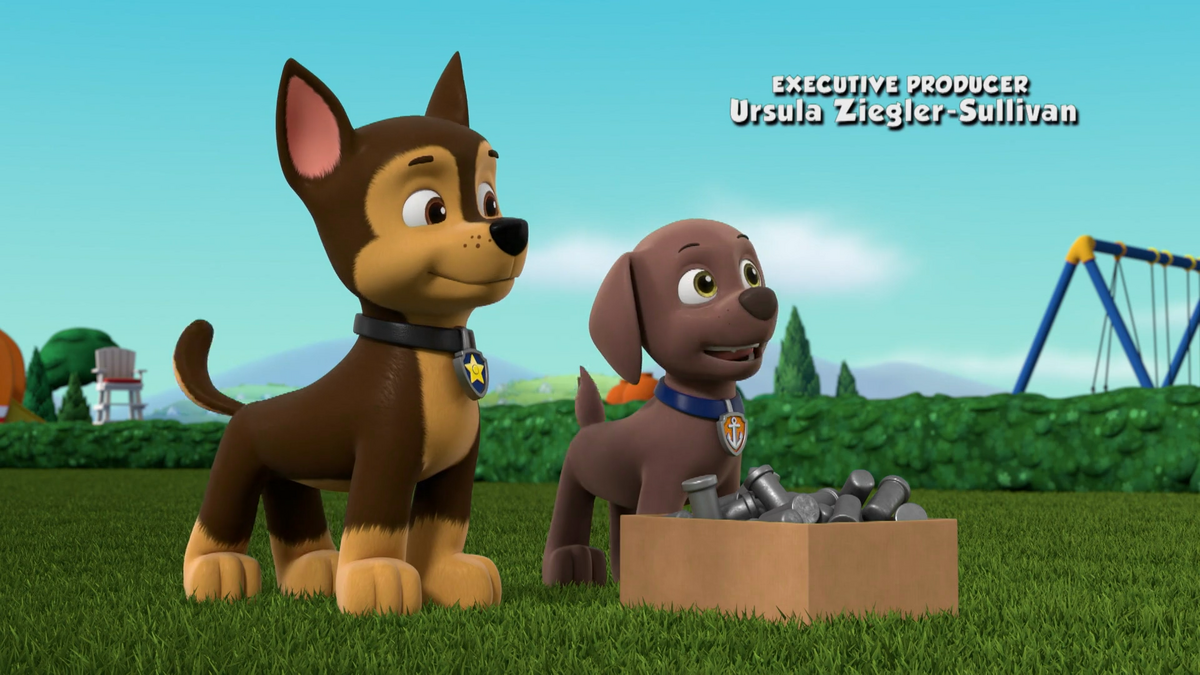 Zuma/Gallery/Pups Save a Box Fort, PAW Patrol Wiki