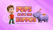 PAW Patrol Hippos Title Card