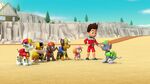 PAW.Patrol.S04E19.Pups.Save.A.Baby.Octopus.1080p.NICK.WEB-DL.AAC2.0.x264-RTN 218520