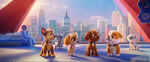 Paw Patrol Movie 6