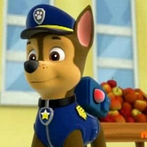 Chase Paw Patrol Wiki Fandom