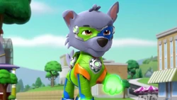 Rocky | PAW Patrol Wiki | Fandom