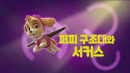 "Circus Pup-formers" ("퍼피 구조대와 서커스") title card