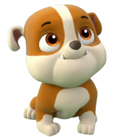 Rubble, PAW Patrol Wiki