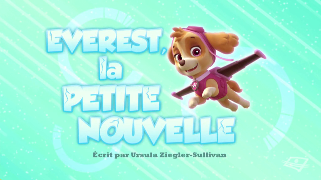 Paw patrol new pup cheap
