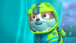 Rubble paw patrol sea patrol sales