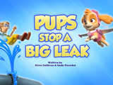 Pups Stop a Big Leak