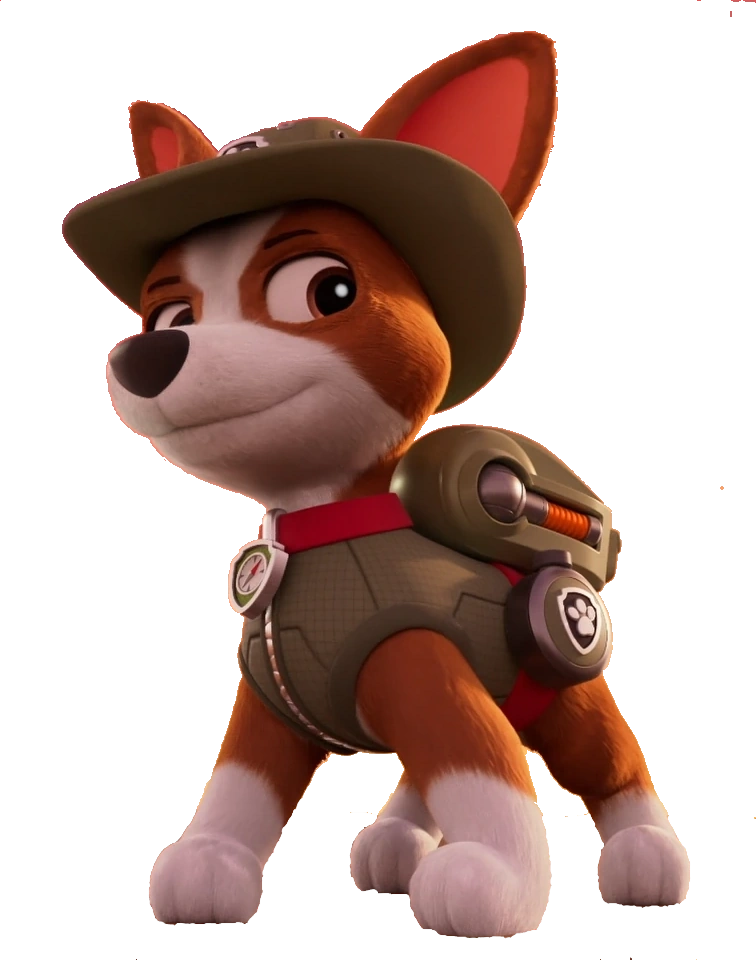What Breeds are the Dogs in Paw Patrol: Discover Now!