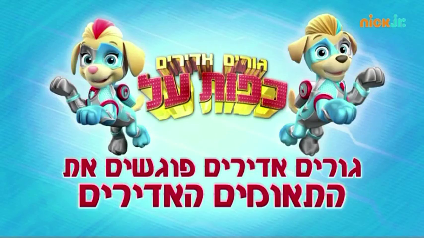 Mighty Pups Super Paws Pups Meet The Mighty Twins Paw Patrol Wiki Fandom