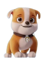Collar only (PAW Patrol: The Movie)