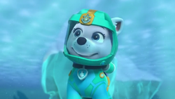 Everest, PAW Patrol Wiki