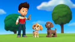 Zuma Gallery Pups Save Ryder s Robot PAW Patrol Wiki Fandom