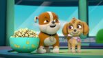 Paw.Patrol.S03E26E27.Parroting.Pups.Merpups.Save.the.Turbots.720p.WEB-DL.AAC2.0.H264-BTN 705330