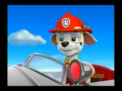 Paw patrol marshall gallery new arrivals