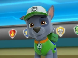 Pup-Tacular/Gallery | PAW Patrol Wiki 