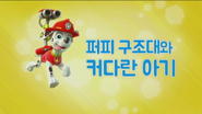 "Pups and the Very Big Baby" ("퍼피 구조대와 커다란 아기") title card
