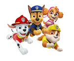 Paw-Patrol-Style-Guide-4