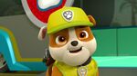 Paw.Patrol.S03E25.Tracker.Joins.the.Pups.720p.WEB-DL.AAC2.0.H264-BTN 657949