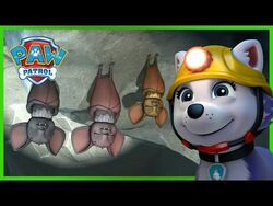 Pups Save a Bat Family/Videos, PAW Patrol Wiki