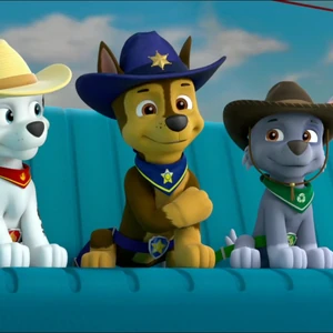 paw patrol cowboy