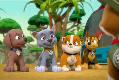 Zuma/Gallery/Sea Patrol: Pirate Pups to the Rescue, PAW Patrol Wiki