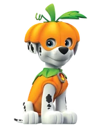 Pumpkin Marshall (2) (transparent).png (383 KB) Pumpkin costume (Halloween only)