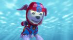 PAW.Patrol.S04E19.Pups.Save.A.Baby.Octopus.1080p.NICK.WEB-DL.AAC2.0.x264-RTN 948416