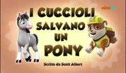 "Pups Save a Pony" ("I cuccioli salvano un pony") title card on Nick Jr.