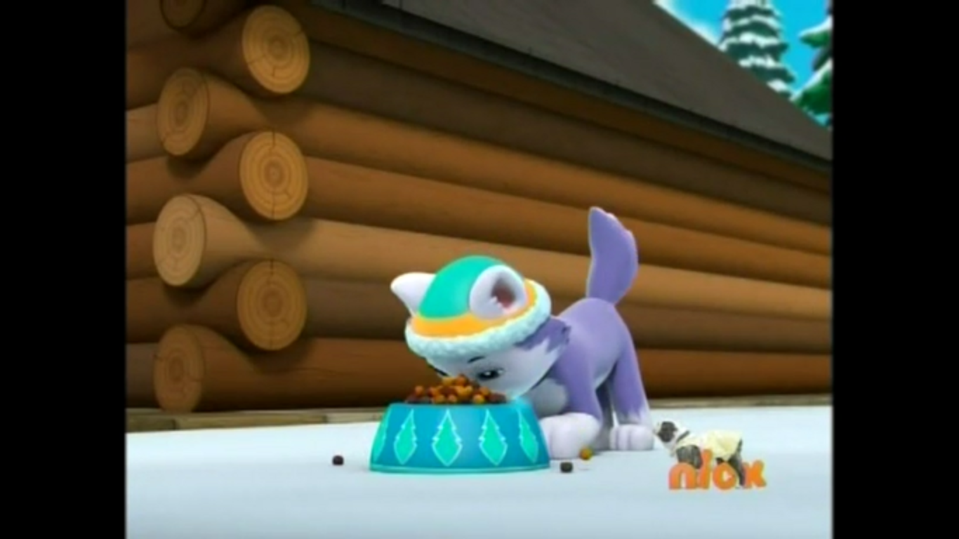 Everest/Gallery/Pups an Outlaw's | PAW Patrol Wiki |