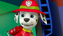 Marshall/Gallery/Tracker Joins the Pups!, PAW Patrol Wiki