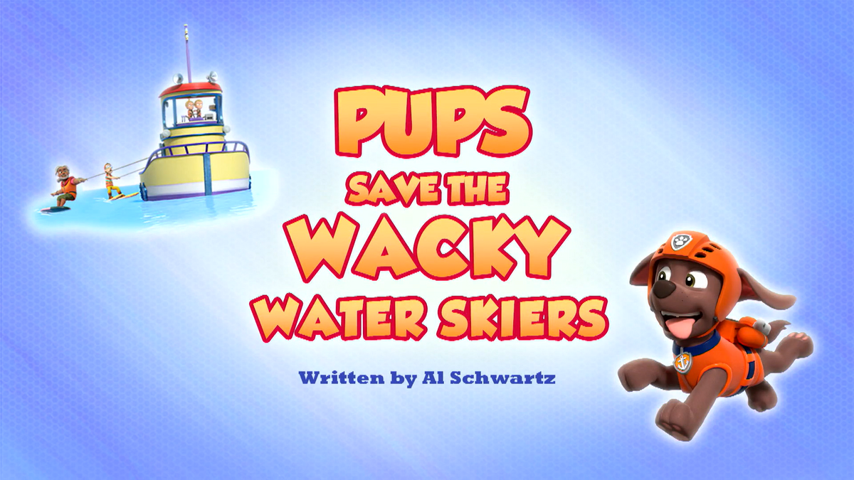 Paw patrol series on sale