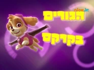 מפרץ ההרפתקאות הגורים בקרקס.png (441 KB) "Circus Pup-formers" ("הגורים בקרקס") title card on Nick Jr.