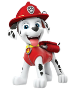 PAW Patrol: The Movie/Gallery | PAW Patrol Wiki | Fandom