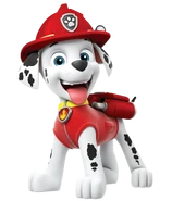 Marshall transparent large.png (678 KB) Standard uniform