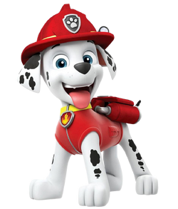 Marshall, PAW Patrol Wiki