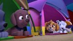 PAW.Patrol.S02E16.Pups.Save.a.Mer-Pup.720p.WEBRip.x264.AAC 262662