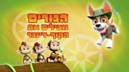 מפרץ ההרפתקאות הגורים מצילים את הקוף-דינגר.png (697 KB) "Pups Save Monkey-dinger" ("הגורים מצילים את הקוף-דינגר") title card on Nick Jr.
