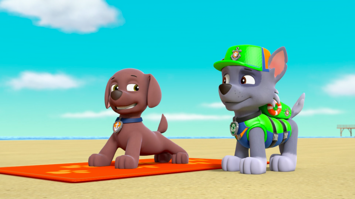 Paw patrol sea patrol rocky outlet