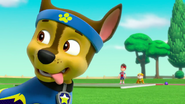 PAW Patrol Pups Save Sports Day Scene 2