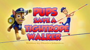 Pups Save a Tightrope Walker (HD)