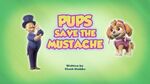 Pups Save the Mustache (US TC)