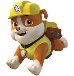 Paw patrol dozer shop