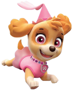 PAW Patrol - Skye Collection