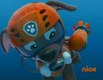 Zuma in his diving suit