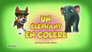 "Pups Save an Upset Elephant" ("Un éléphant en colère") title card on RTS Un