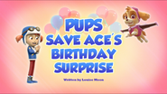 Pups Save Ace's Birthday Surprise (HQ)