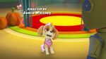 PAW.Patrol.S01E12.Pups.and.the.Ghost.Pirate.720p.WEBRip.x264.AAC 57824