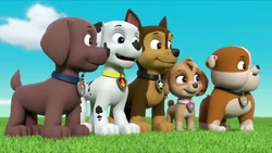 Kooky Climber | PAW Patrol Wiki | Fandom